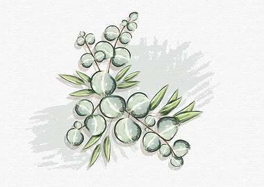 cotton leaves illustration