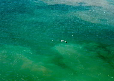 Waves summer abstract art