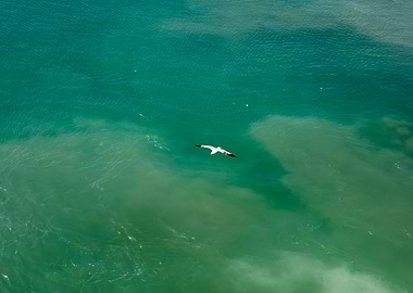 Waves summer abstract art