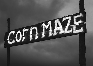 Corn Maze Noir