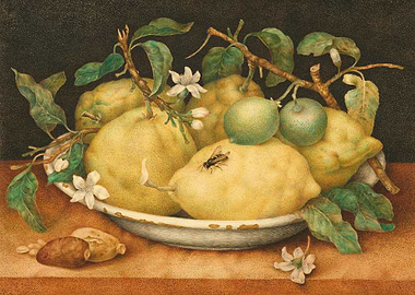 Still Life with Citrons