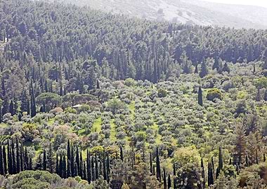 Ymmitos Kalopoula Mountain