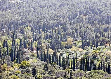 Ymmitos Kalopoula Mountain