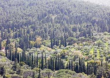 Ymmitos Kalopoula Mountain