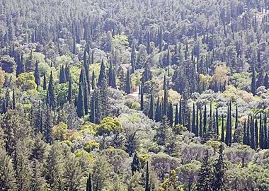 Ymmitos Kalopoula Mountain