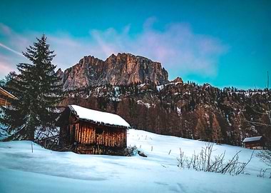The Winter Snow Shed