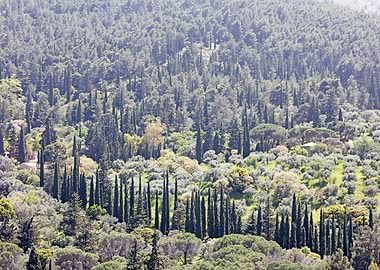 Ymmitos Kalopoula Mountain