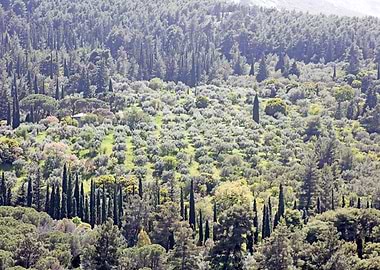 Ymmitos Kalopoula Mountain