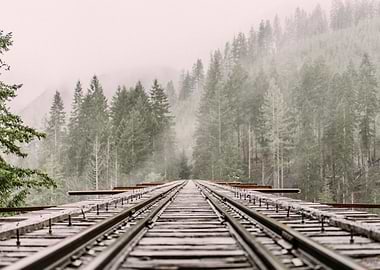 CAMINO A DONDE QUIERAS