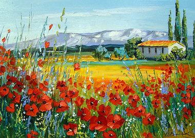 Poppy field near the mount