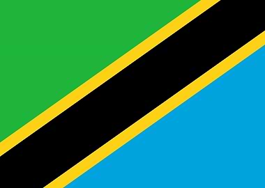 TANZANIA Flag