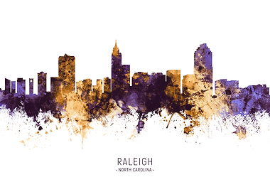 Raleigh Skyline