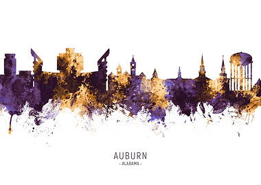 Auburn Alabama Skyline