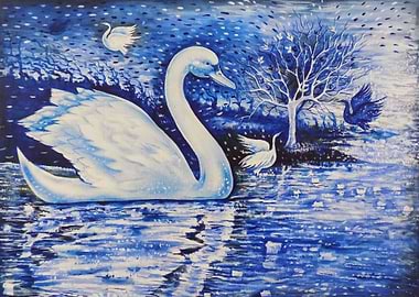 The Swan in Blue Lagoon