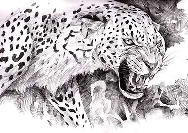 Jaguar Painting Art