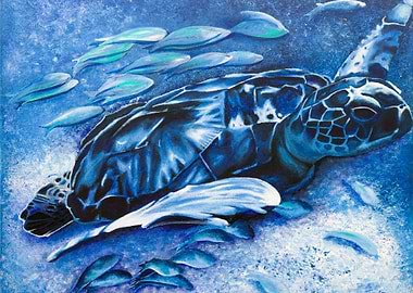 Ocean Turtle