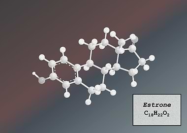 Estrone
