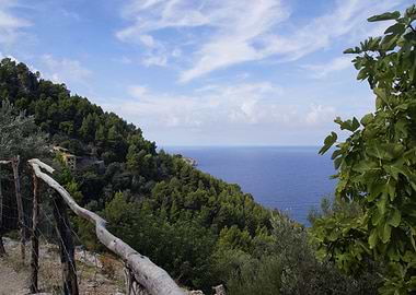 Coast mallorca north
