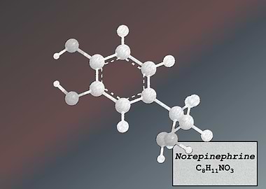 Norepinephrine