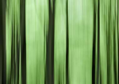 Forest blur