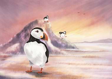 Puffins
