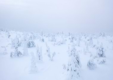 Looking over the fell