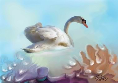 Swan