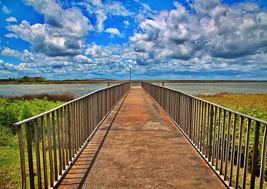 Fishing Pier in Marsh