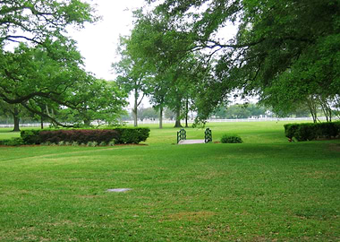 Louisiana Plantation Yard