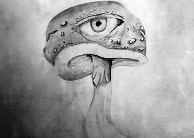 Opening my third eye