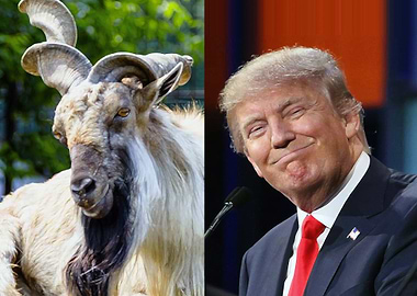 Diplomatic Disrespect