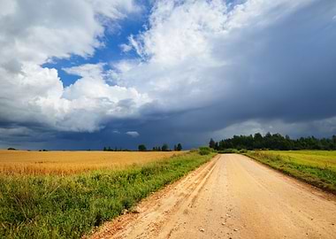 Road And Cereal Field Agai