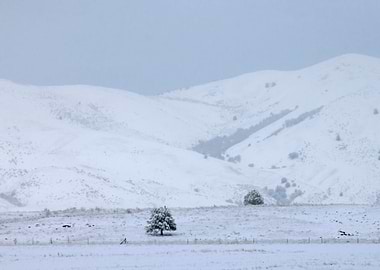 Stunning Backgrounds