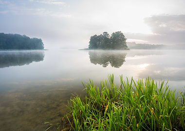 Morning Foggy Lake