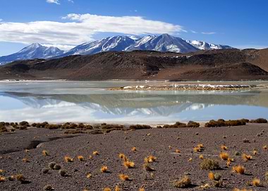Stunning Backgrounds