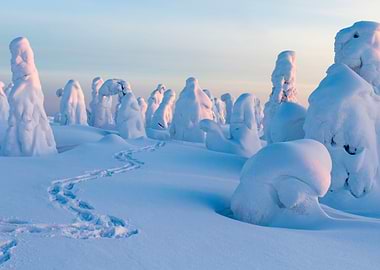 Stunning Backgrounds