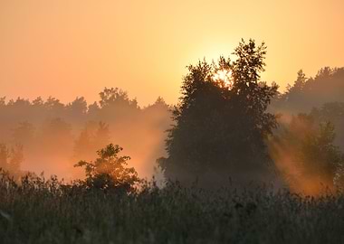 Sun And Morning Fog Above