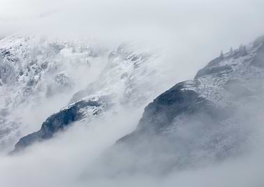 Stunning Backgrounds