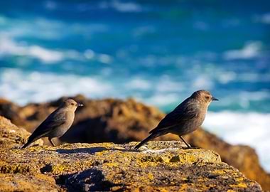 Stunning Backgrounds