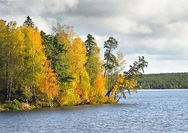 Lake Landscape During Fall
