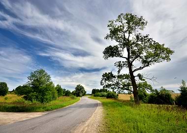 Classic Rural Landscape Gr