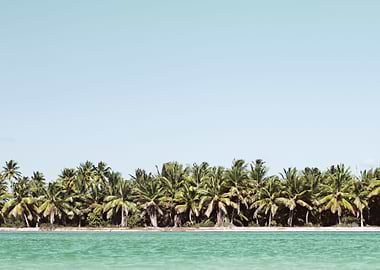 Summer Scene With Tropical