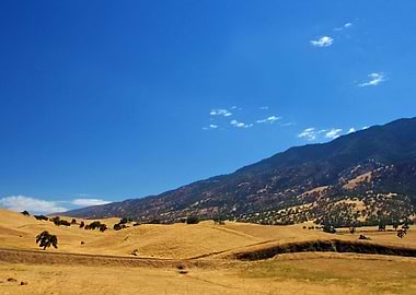 Stunning Backgrounds