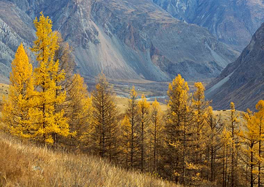 Stunning Backgrounds