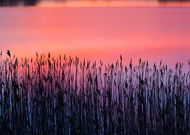 Beautiful Lake With Colorf