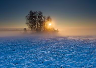 Beautiful Winter Field Lan