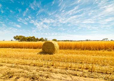 Hay And Straw Bales In The