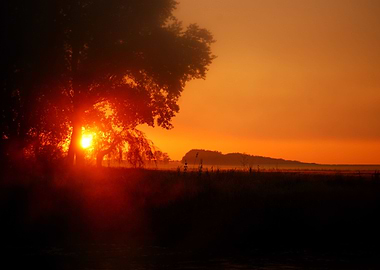 Tree Silhouette At The Fie