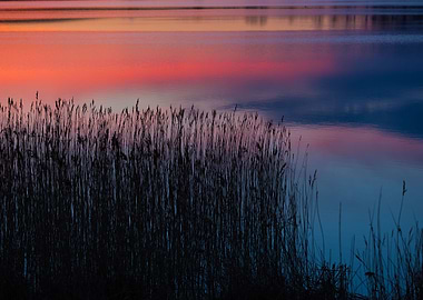 Beautiful Lake With Colorf