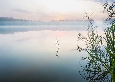 Morning Foggy Lake
